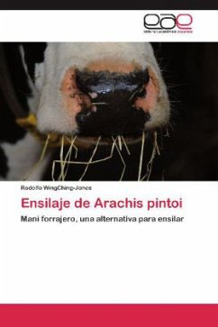 Ensilaje de Arachis pintoi