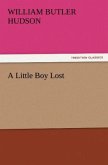 A Little Boy Lost