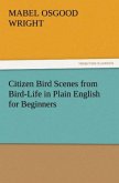 Citizen Bird Scenes from Bird-Life in Plain English for Beginners