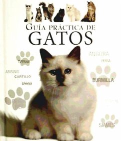 Guía práctica de gatos - Davidson, Catherine