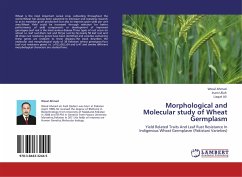 Morphological and Molecular study of Wheat Germplasm
