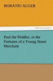 Paul the Peddler, or the Fortunes of a Young Street Merchant