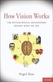 How Vision Works