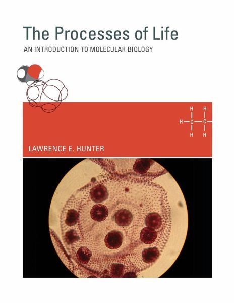 The Processes of Life The Processes of Life