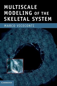 Multiscale Modeling of the Skeletal System - Viceconti, Marco