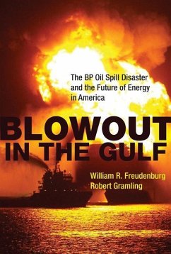 Blowout in the Gulf - Freudenburg, William R.; Gramling, Robert