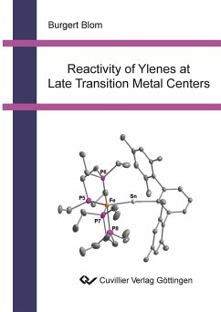 Reactivity of Ylenes at Late Transition Metal Centers - Blom, Burgert