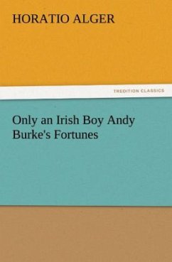 Only an Irish Boy Andy Burke's Fortunes - Alger, Horatio