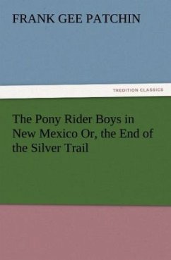 The Pony Rider Boys in New Mexico Or, the End of the Silver Trail - Patchin, Frank G.