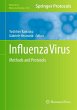 Influenza Virus - Bild 1