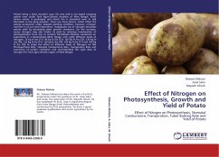 Effect of Nitrogen on Photosynthesis, Growth and Yield of Potato