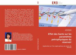 Effet des liants sur les paramètres petrophysiques du réservoir - Aliouane, Leila;Boudella, Amar