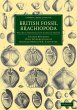 British Fossil Brachiopoda - Volume 3 - Bild 1