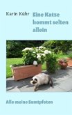 Eine Katze kommt selten allein