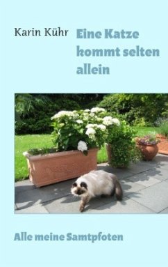 Eine Katze kommt selten allein - Kühr, Karin