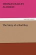 The Story of a Bad Boy - Bild 1