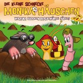 Warum buddeln Maulwürfe Hügel? / Die kleine Schnecke, Monika Häuschen, Audio-CDs 22