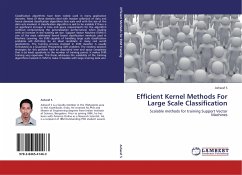 Efficient Kernel Methods For Large Scale Classification