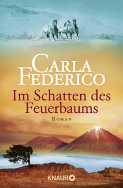 Im Schatten des Feuerbaums / Chile-Saga Bd.3 - Federico, Carla