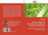 Gestion intégrée de Rhamphicarpa fistulosa en riziculture de bas-fonds
