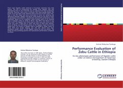 Performance Evaluation of Zebu Cattle in Ethiopia