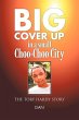 Big Cover Up in small Choo-Choo City - Bild 1