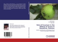 Role of Fusarium in the Wilting of Guava in Malakand, Pakistan