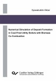 Numerical Simulation of Deposit Formation in Coal-Fired Utility Boilers with Biomass Co-Combustion