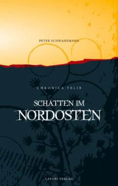 Cover Schatten im Nordosten