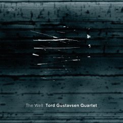 The Well - Gustavsen,Tord Quartet