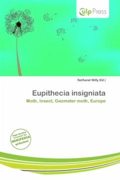 Cover Eupithecia insigniata
