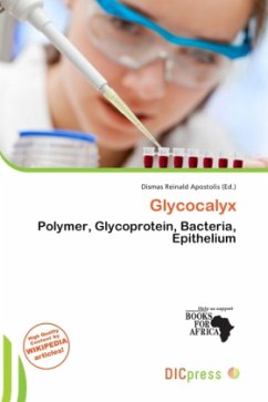 Glycocalyx