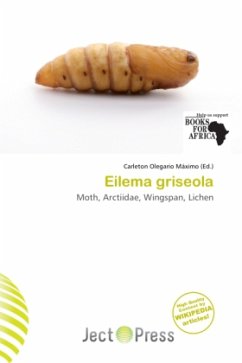 Cover Eilema griseola