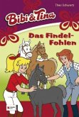 Das Findelfohlen / Bibi & Tina Bd.24