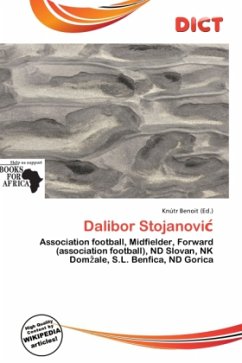 Cover Dalibor Stojanovi