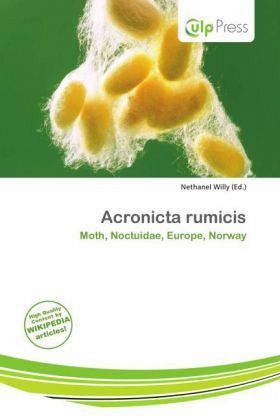 Acronicta rumicis