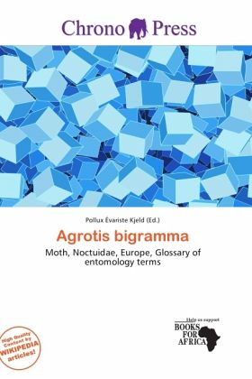 Agrotis bigramma