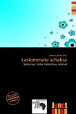 Lasiommata schakra Lasiommata schakra