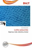 Lethe jalaurida