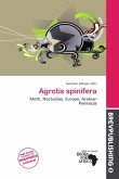 Agrotis spinifera