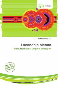 Lacanobia blenna