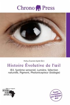 Histoire Évolutive de l' il