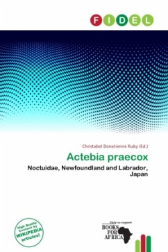 Actebia praecox