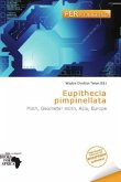 Eupithecia pimpinellata Eupithecia pimpinellata