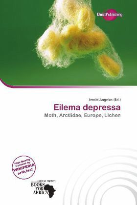 Eilema depressa