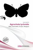 Agrochola lychnidis