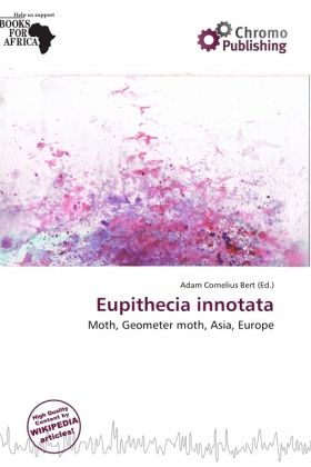 Eupithecia innotata Eupithecia innotata