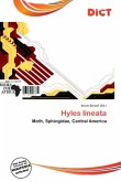 Hyles lineata Hyles lineata