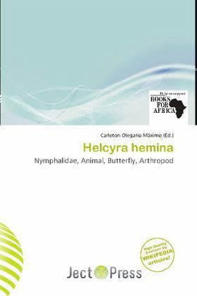 Helcyra hemina Helcyra hemina