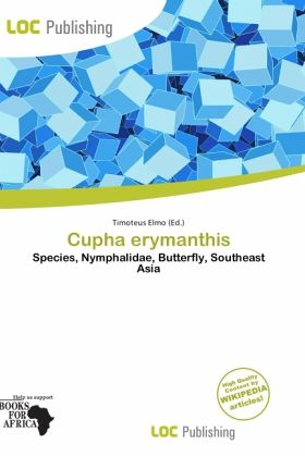 Cupha erymanthis Cupha erymanthis
